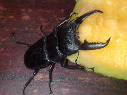 带你寻找记忆中的童年,我的童年既是怎样的又是怎样的