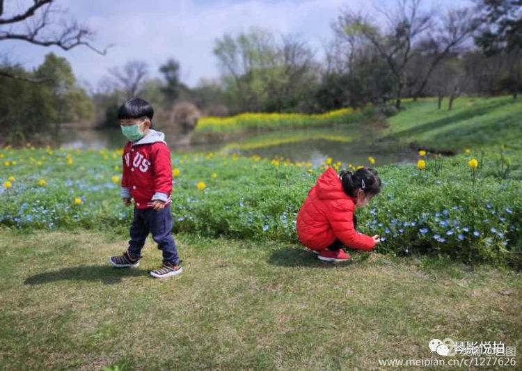 金色童年8张图片,金色的童年相片
