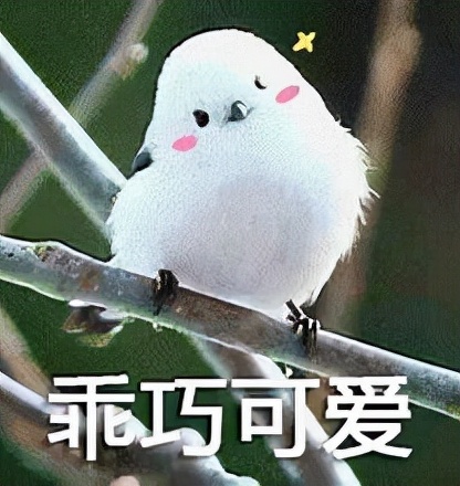 剑网3情缘语录,剑网三情缘语录