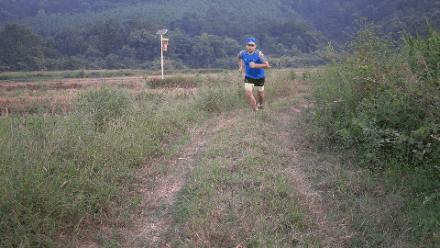 飞速羚羊4跑鞋祥云版,飞速羚羊4代跑鞋适合公路跑吗