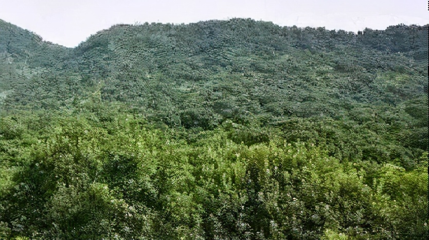 喜报!宁波市慈溪梅园村入选浙江省文明村名单啦