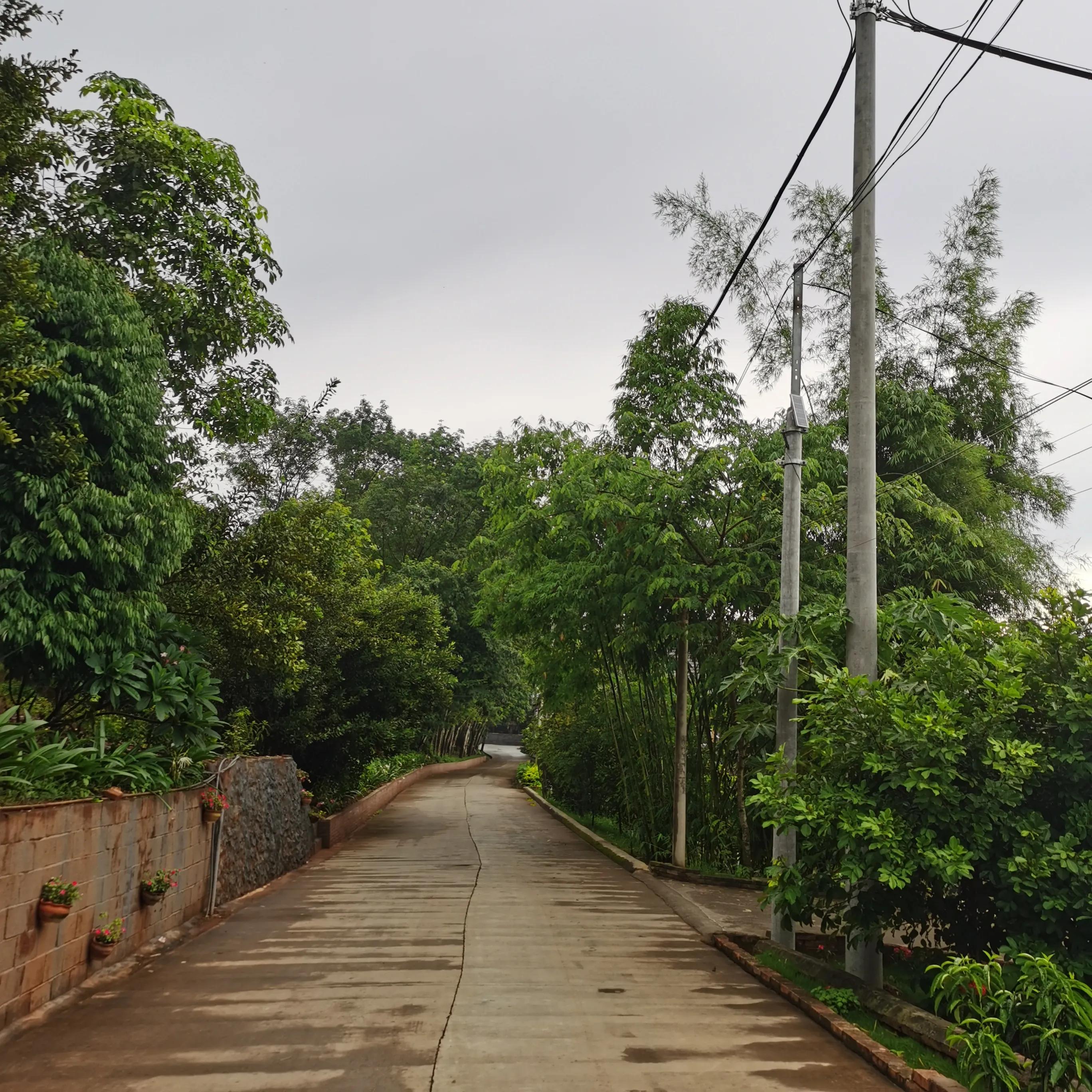 西双版纳曼远村游,西双版纳自由行一天攻略傣族园