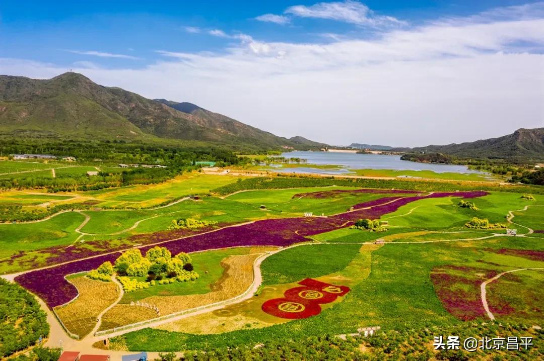 北京庆七一花坛摆放图片,北京长安街迎国庆立体花坛亮相