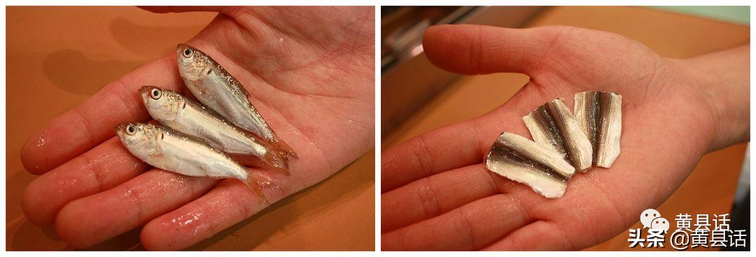在海边很便宜的海鲫鱼（斑鰶），在日本却卖到几千块钱一斤