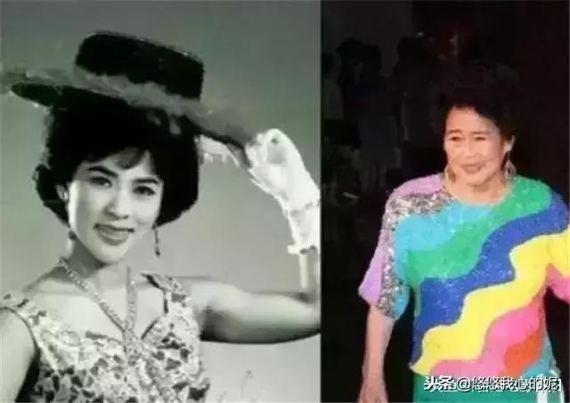 第42届台湾电影金马奖周星驰,周星驰一举拿下当年金马奖的电影