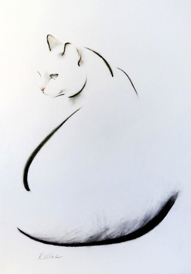 美式复古插画猫,插画猫咪线条