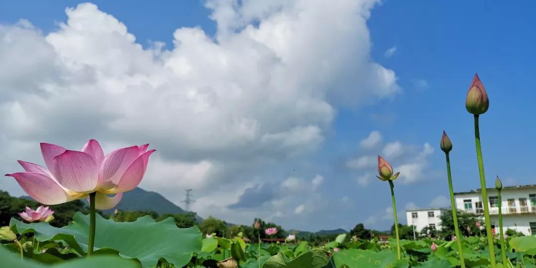 九江旅游必去十大免费景点,九江旅游必去的八大景点