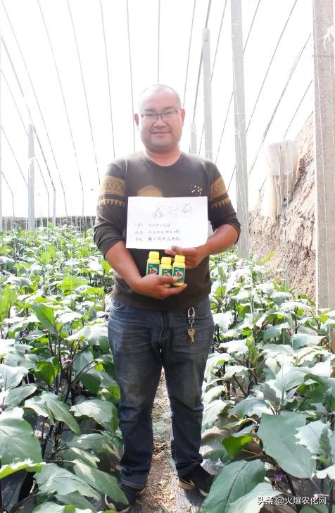 蓟马专用杀虫卵剂,除虫灭蚊大杀器