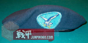 空军宪兵第四部分：安全部队制服配饰中的特色元素