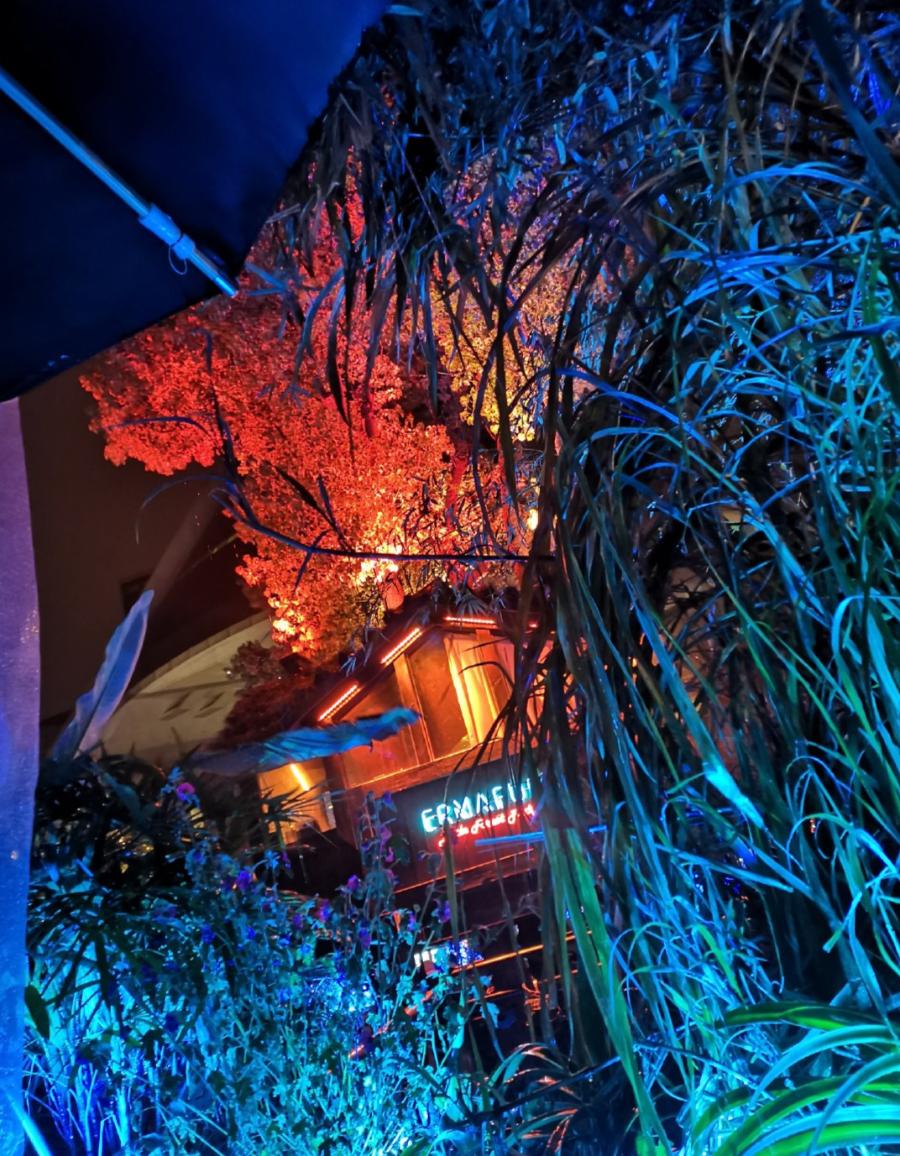 “当当......”快上车，成都的夜生活开始了