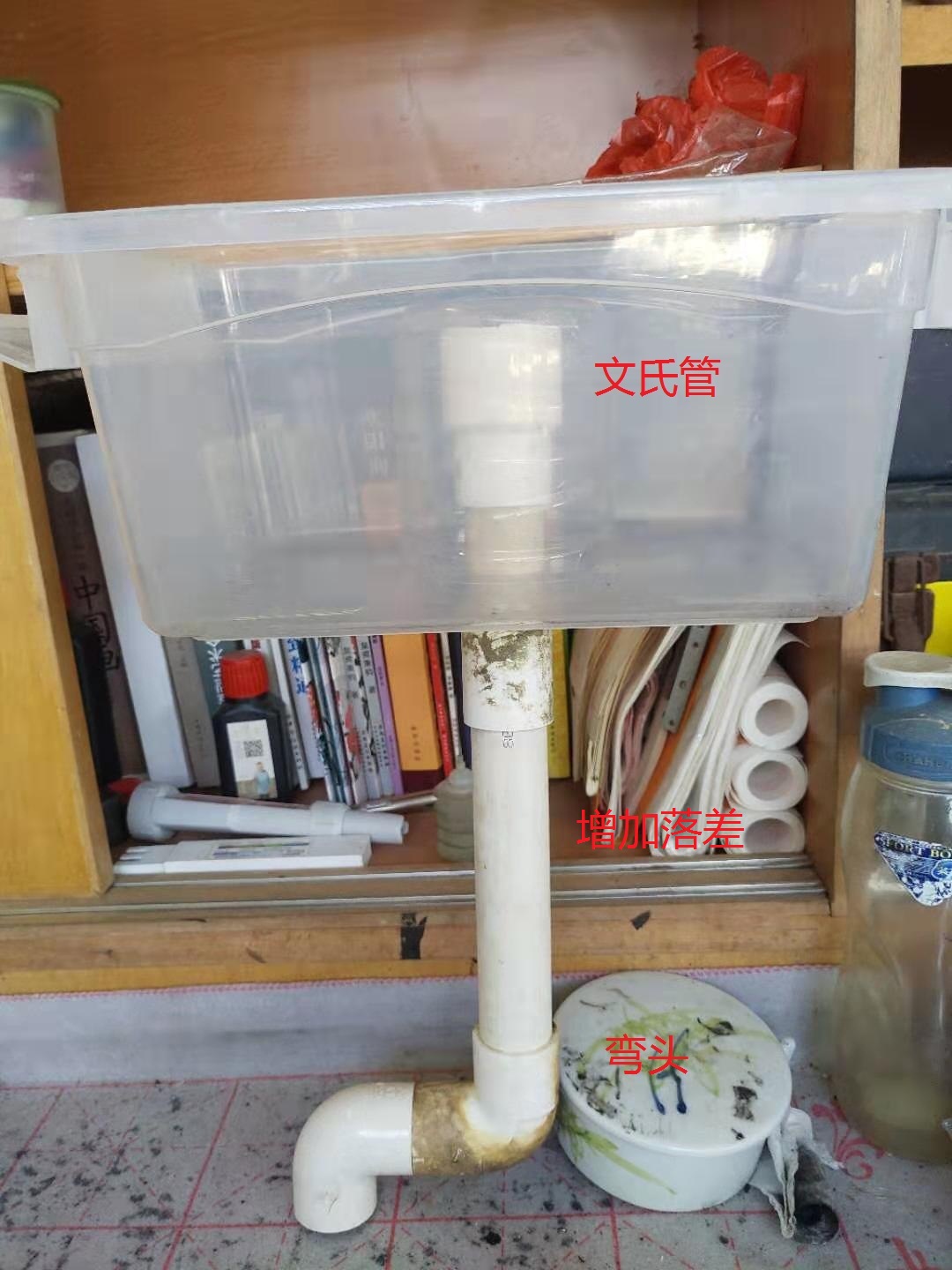 龟菜共生种植技术视频,龟菜共生系统详解