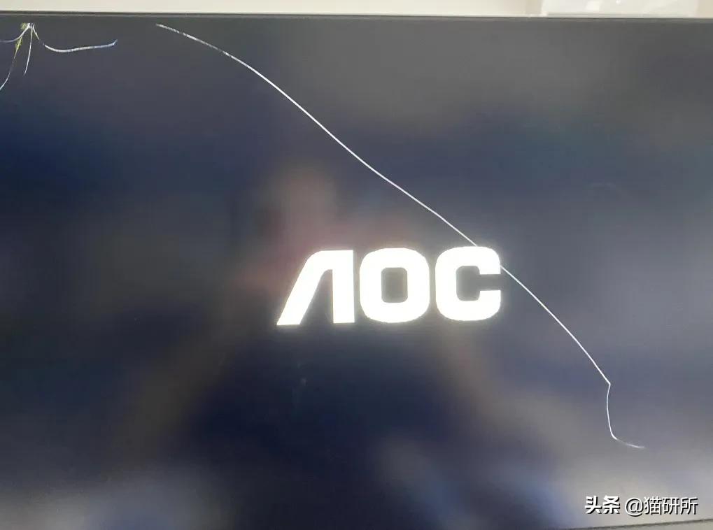 怎么才能知道猫咪的智商,你家猫爱看电视吗