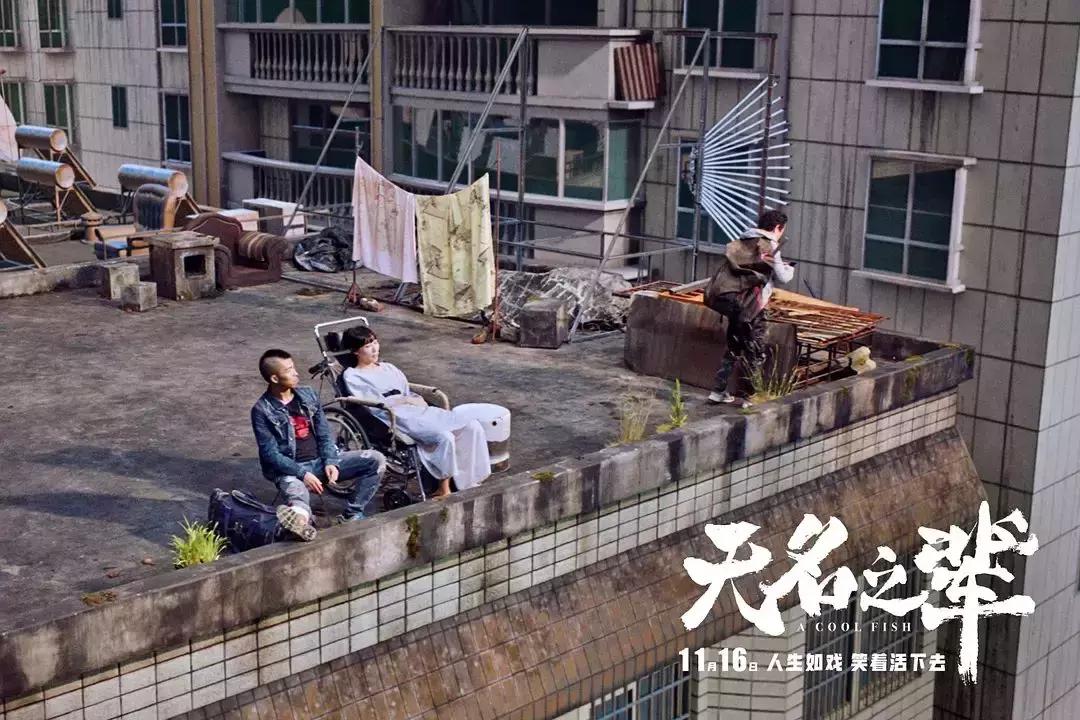 藏不住的宝藏男孩,宝藏男孩藏不住了