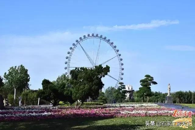 石家庄最浪漫约会圣地,七夕情侣约会的地方石家庄