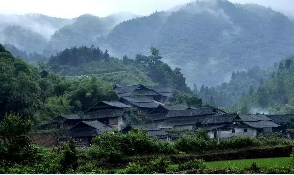 怀化农家乐和休闲农庄,怀化杨村甜蜜蜜农庄