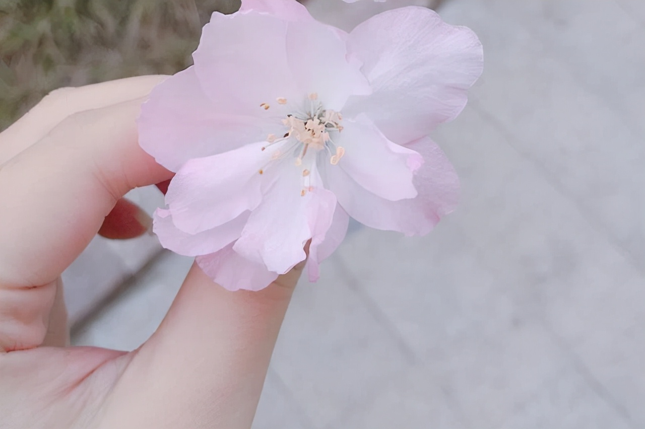 很想念一个人怎么给他发微信,如何给想念的人发微信