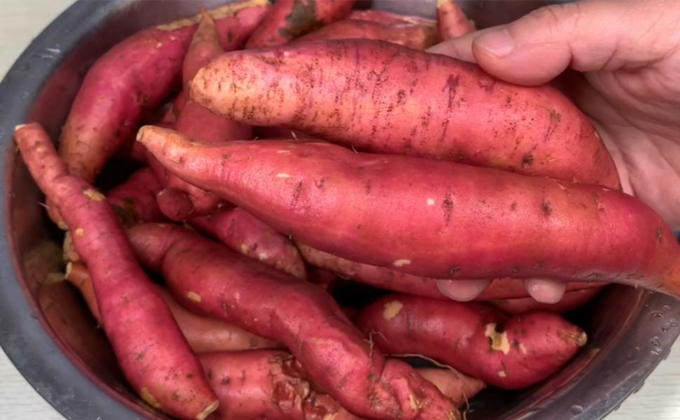 用烤箱怎样烤红薯最好吃,烤红薯的正确做法不用烤箱