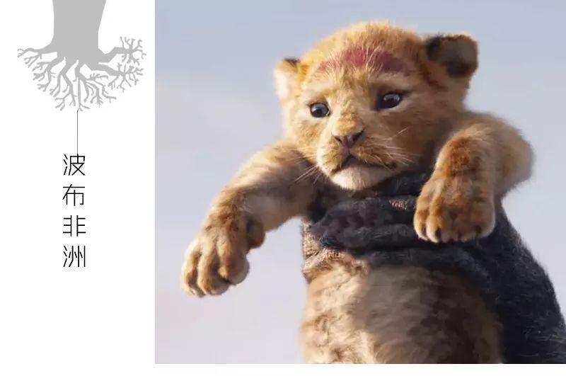 电影狮子王评价如何,看完狮子王的评价30个字