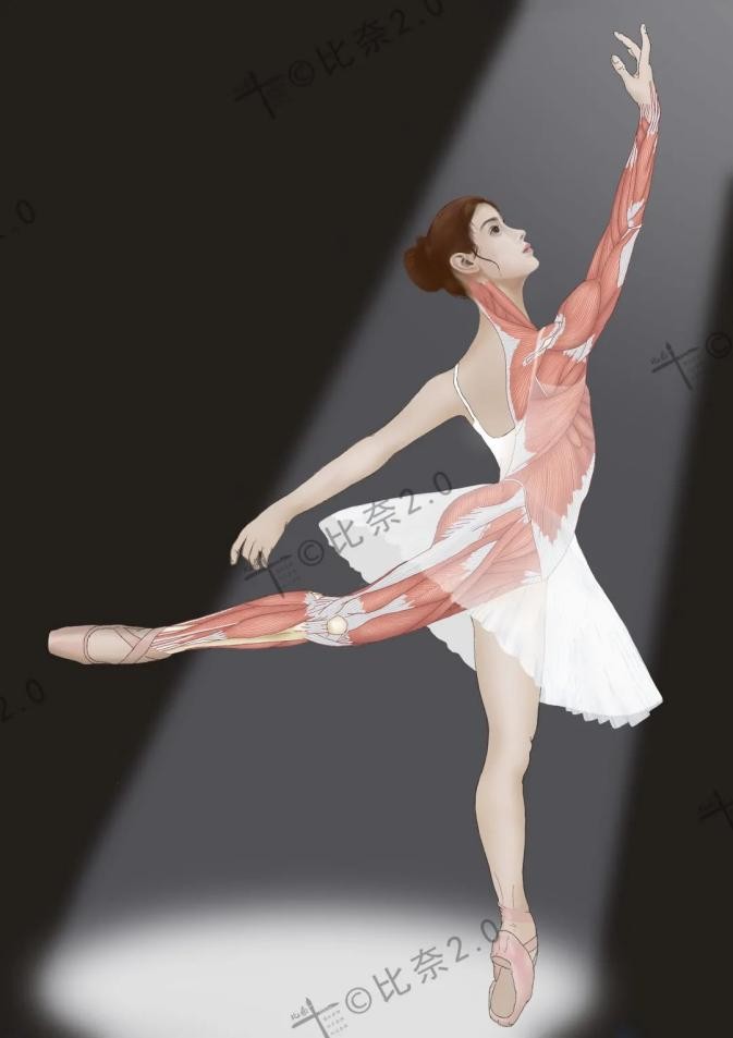 灵魂画手的手绘作品,医学生手绘器官创意解剖绘画