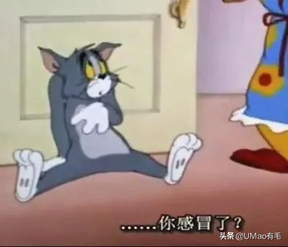 猫感冒会传染其他猫吗,猫感冒了有哪几种表现