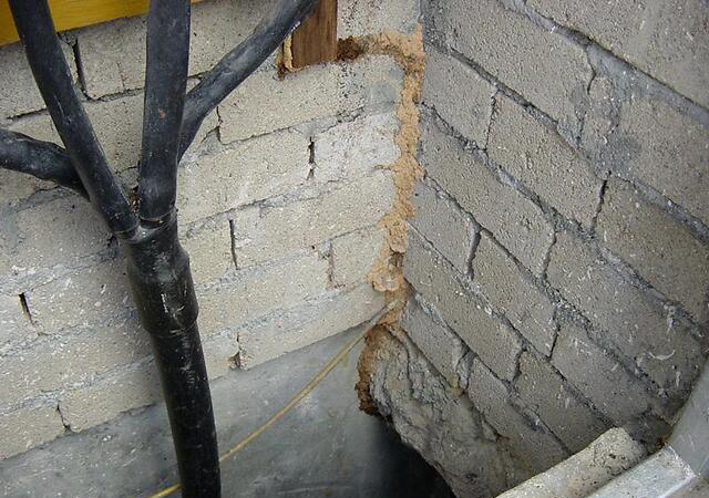 洛阳专业灭白蚁公司,白蚁防治专业公司