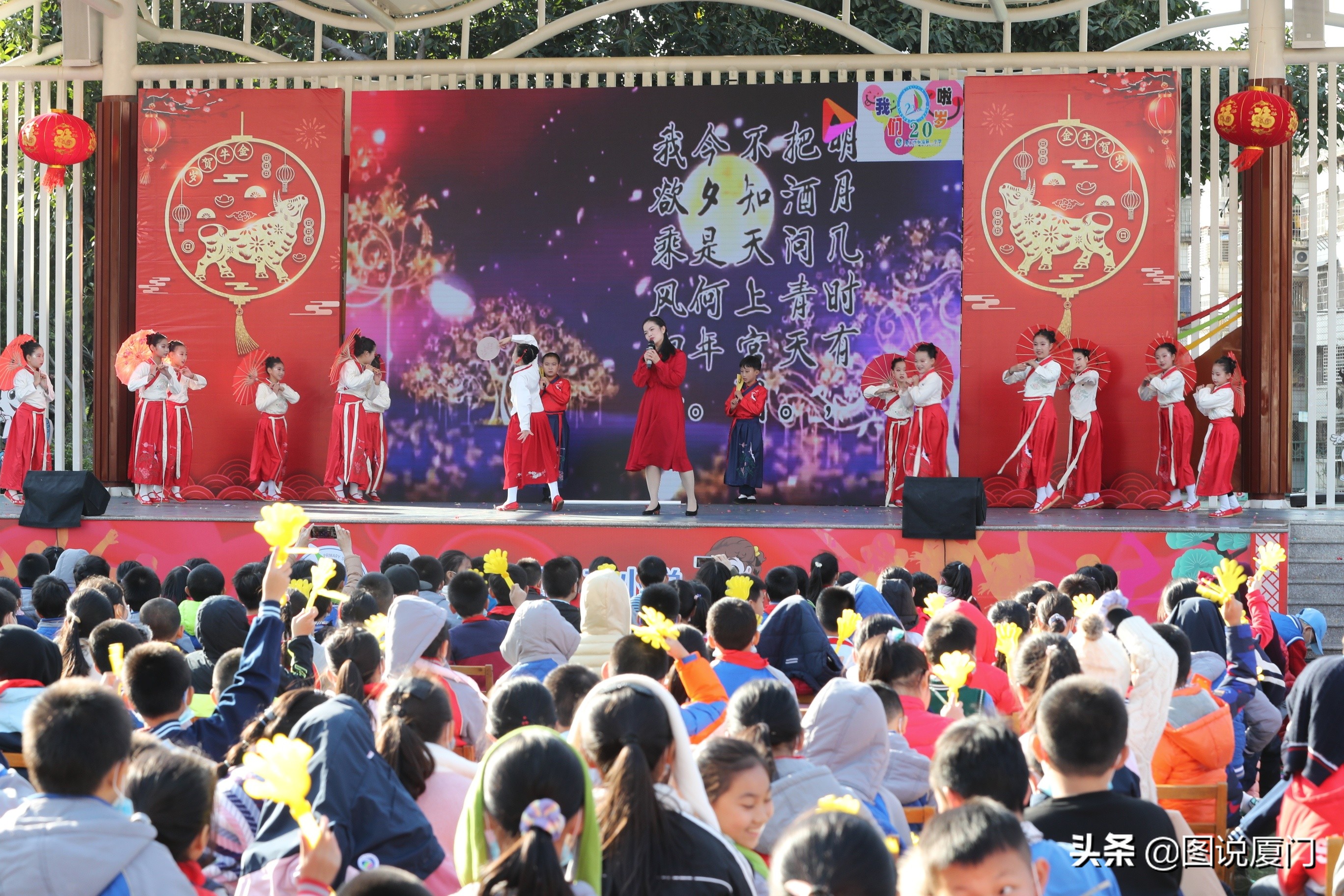 凤凰花开新征程新启航,厦门二中凤凰花开