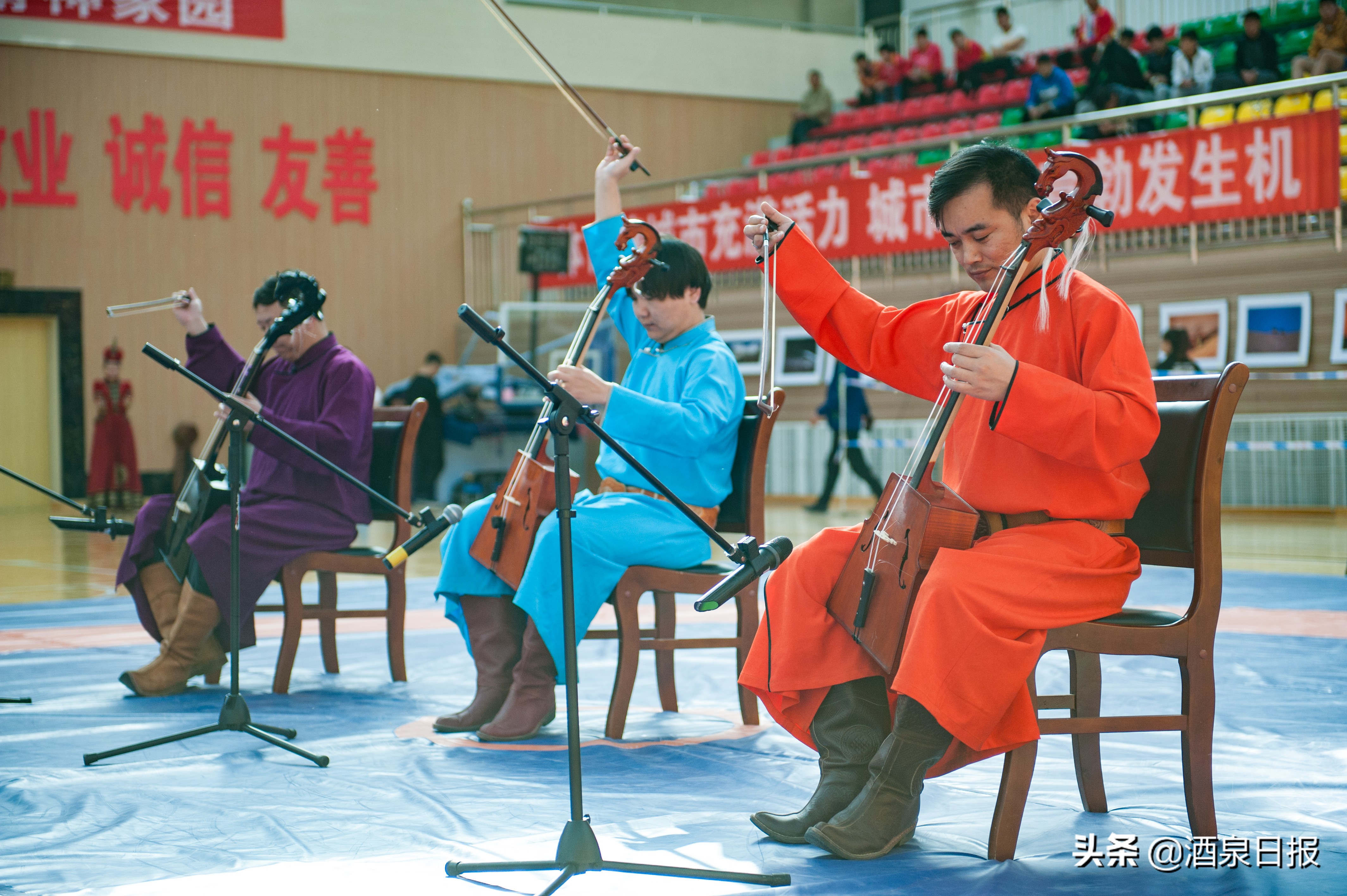 甘肃省青少年锦标赛2024摔跤,2021甘肃省青少年国际式摔跤