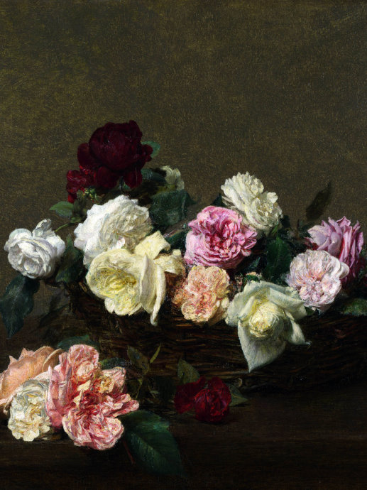 二十张惊艳的鲜花图片美图欣赏,好看的鲜花绝美图片