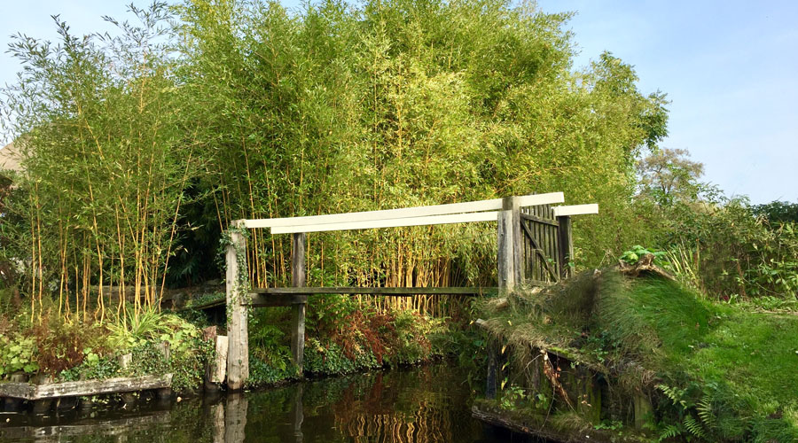 荷兰水乡古镇,广东荷兰水乡