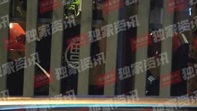 赵薇向男友人索吻,赵薇遭猴子索吻