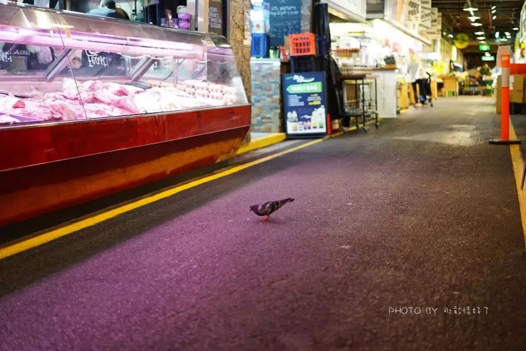 去澳洲买什么化妆品,去澳洲带哪些护肤品最值得