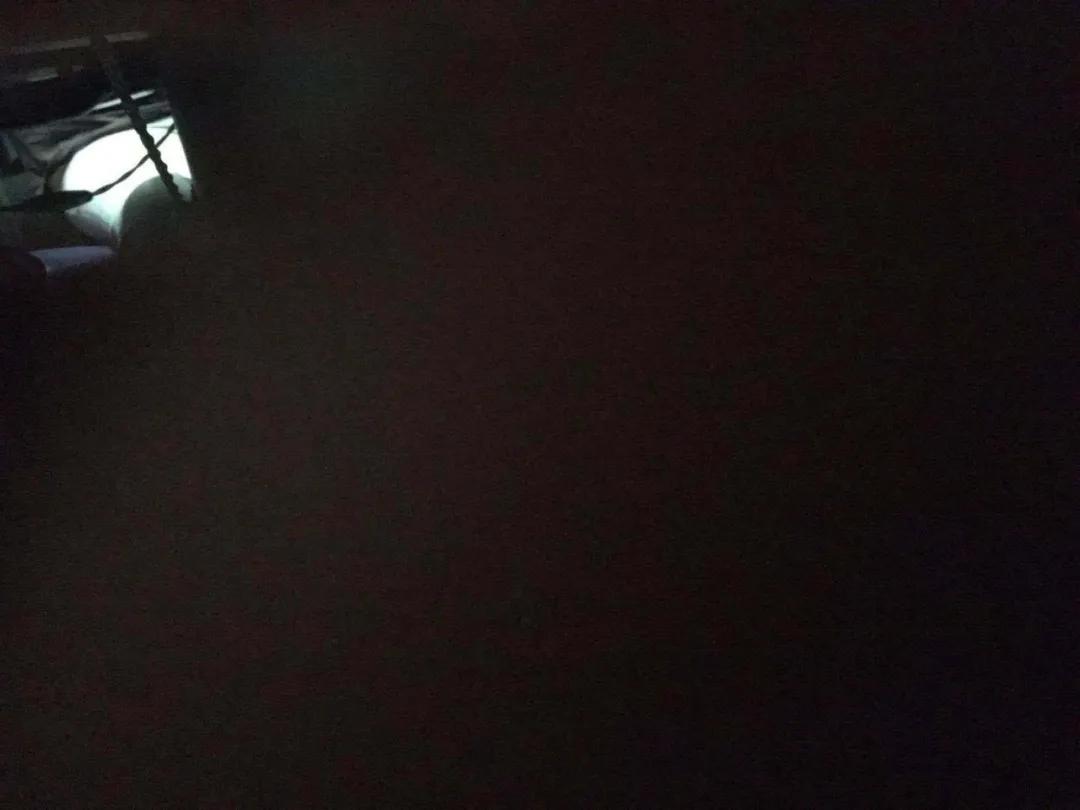 模仿狗狗睡姿,分享下你家狗子的睡姿