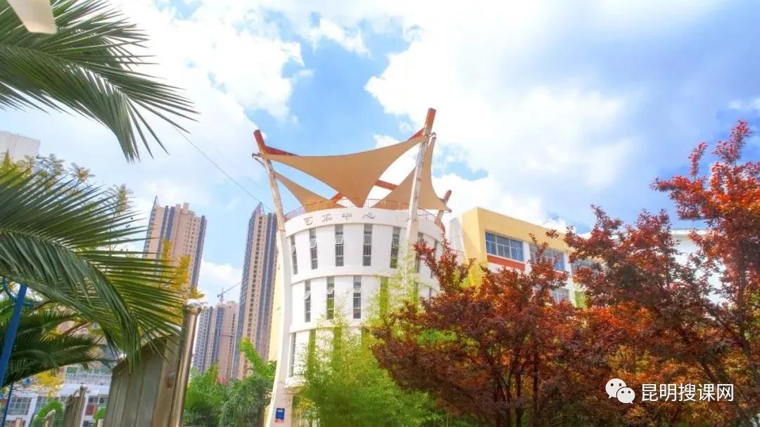 昆明体育特长生降分,昆明八中体育特长生