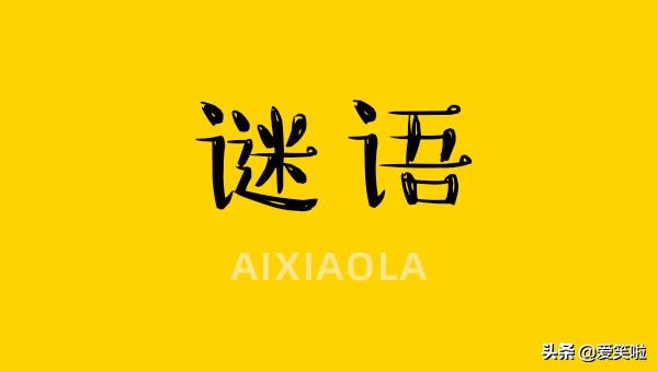 趣味猜谜语活动方案,老师上课趣味猜谜语