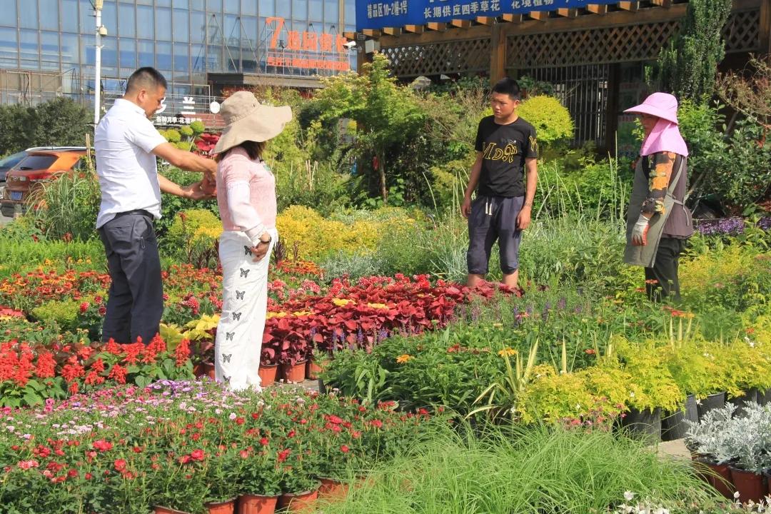 花展的意义,花展布展情况介绍