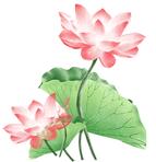 原创作文300到400字,原创作文画画