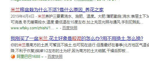 百度文库显示，七成以上花友困扰于米兰的胶泥土，该如何解决