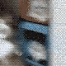 心之所向死于向往,心之所向爱的取向