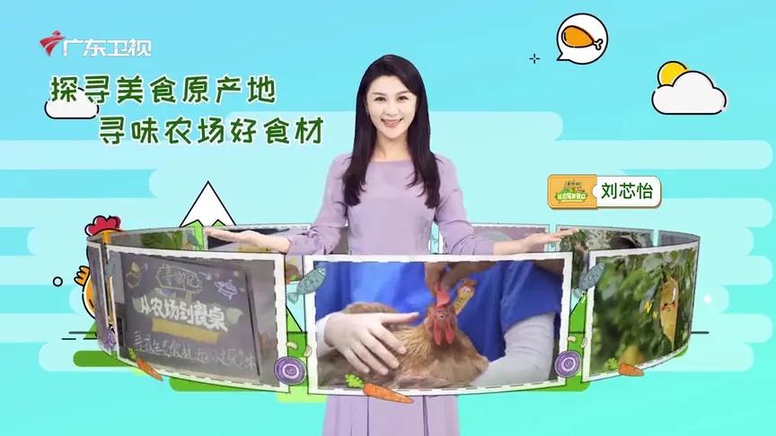 “突围、转型、*局破**”——广东卫视三年“振兴之路”带给业界的思考