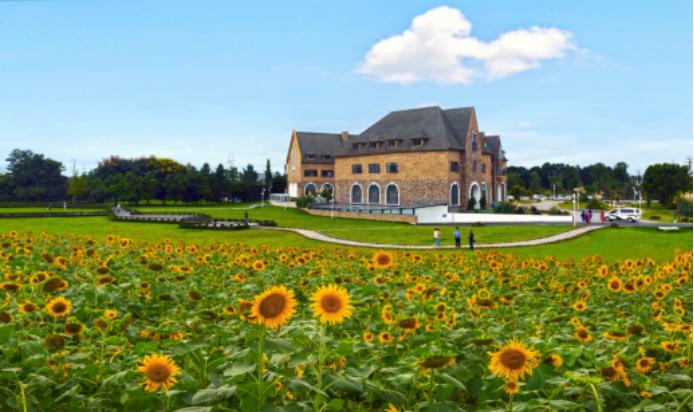 519中国旅游日免费景点,519中国旅游日活动总结