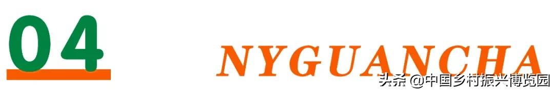 乡村振兴产业方面存在的问题,乡村振兴最有前景九大产业