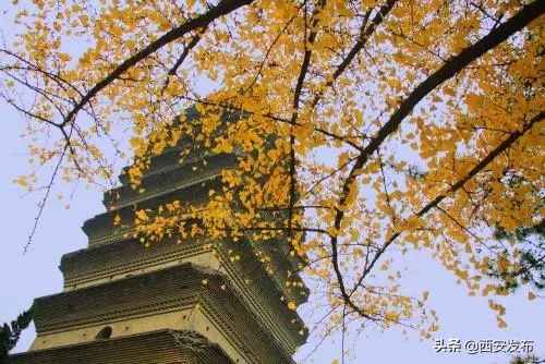 西安赏秋,西安赏秋红叶好去处
