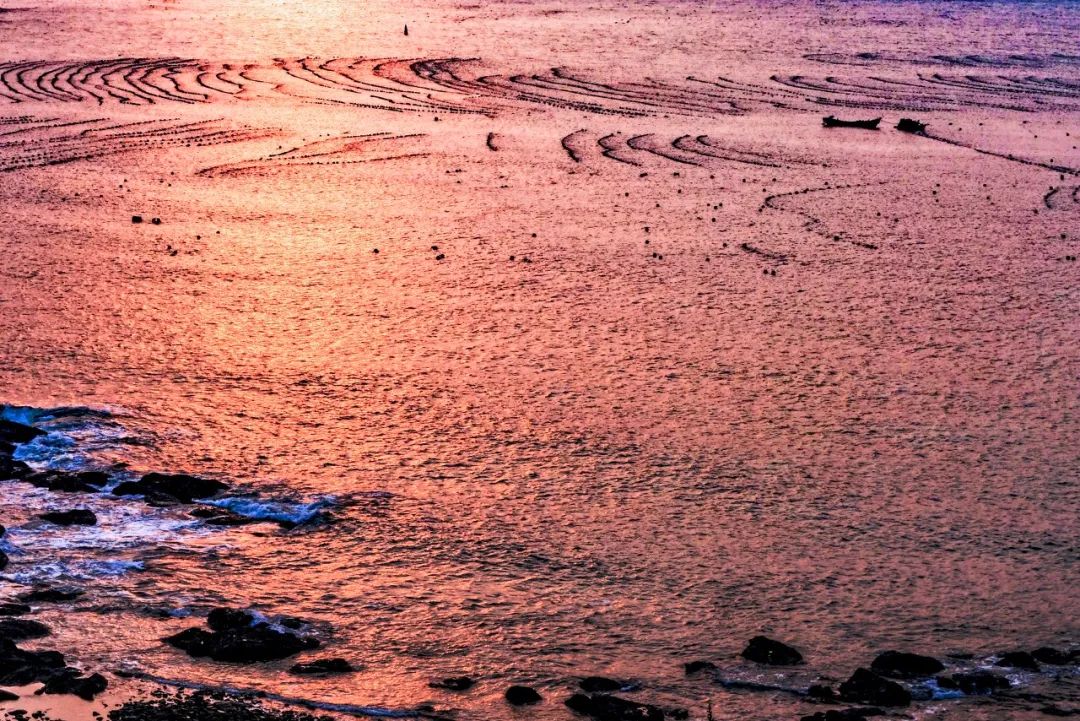 突然就想去成都了,突然想去青岛了