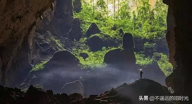 世界最大洞穴里的原始森林,探险最深最大的地底洞穴