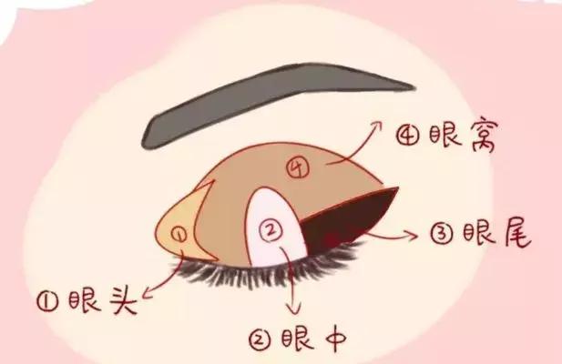 新手小白必看的眼影教程,眼影教程新手必看