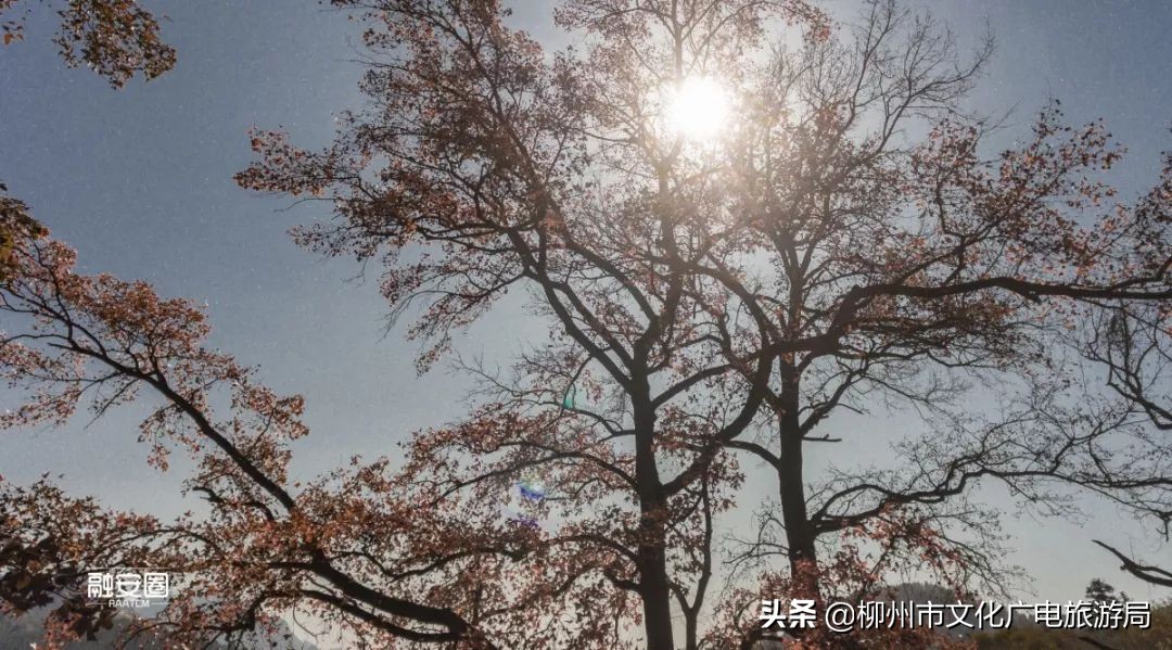 融安风景最好看的地方,融安十大游玩景点