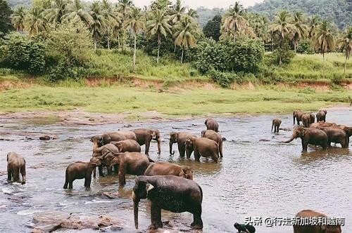 我的旅行日记:神秘的南亚岛国,印度洋上明珠的七天六晚行程