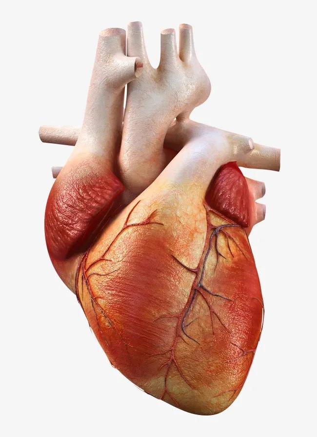 丹麦足球运动员心脏骤停,足球丹麦比赛突然猝死瞬间