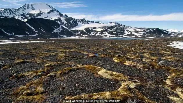地球妈妈生病了故事,地球变暖冰川融化企鹅