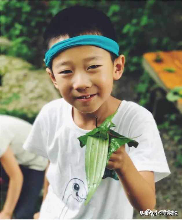 近期因为人类导致的物种灭绝,科普五次物种灭绝事件